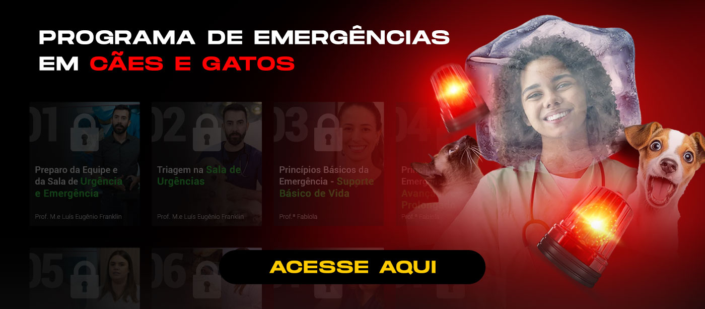 Programa Especial