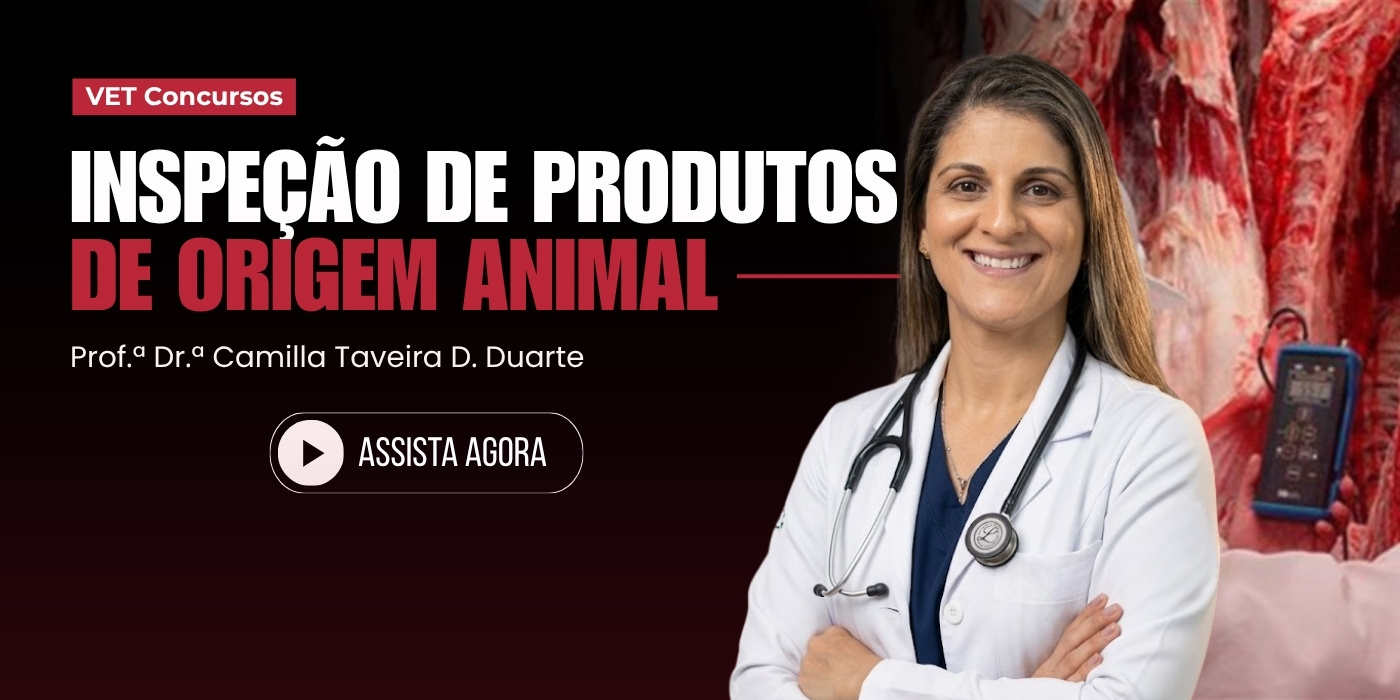 Destaque 4