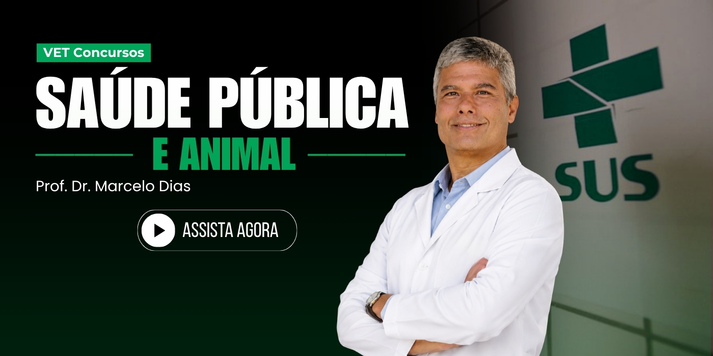 Destaque 6