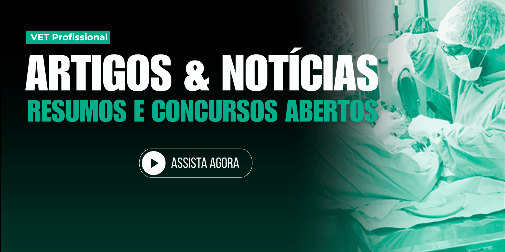 Destaque 7
